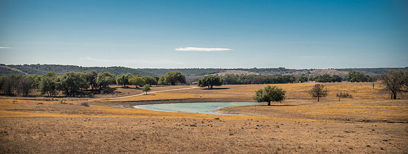 Bosque-00172