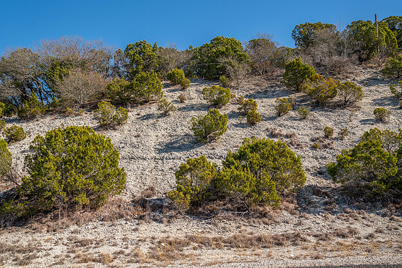 Bosque-00177