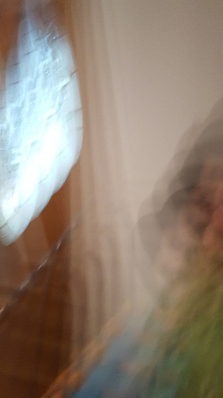 20170720_163237