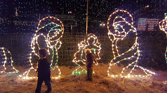20171209_202056