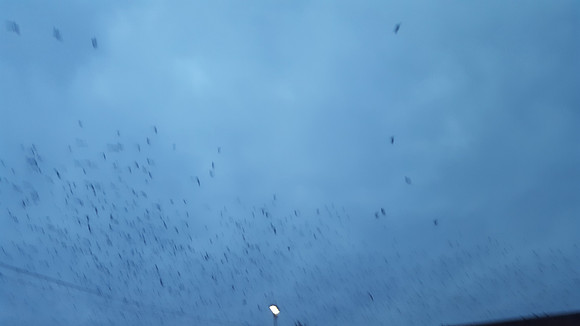 20180228_182304
