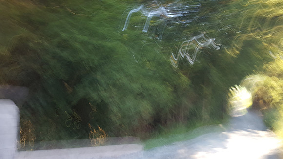 20180809_085628