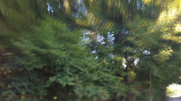 20180809_085628(0)