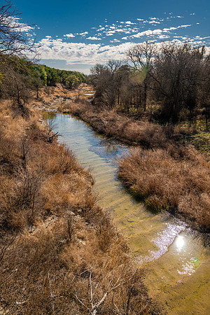 Bosque-00057