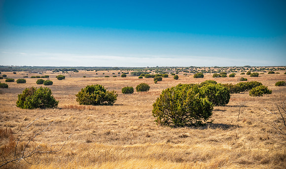 Bosque-00228-3