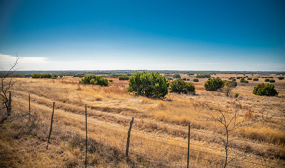 Bosque-00223