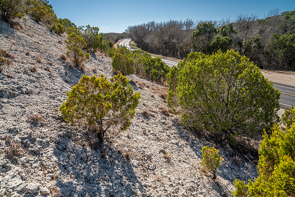 Bosque-00197