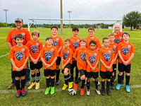 Hammerheads 2025 Spring